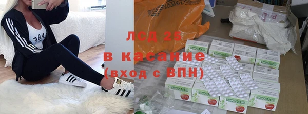 индика Алзамай