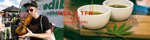 индика Алзамай