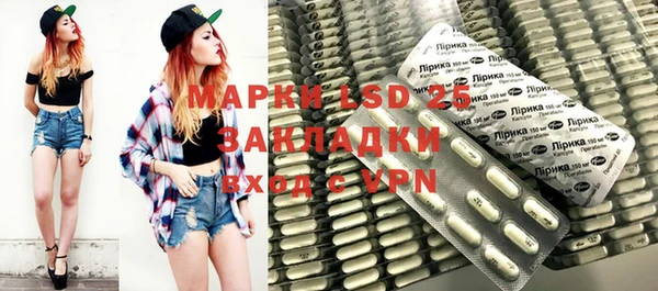 индика Алзамай