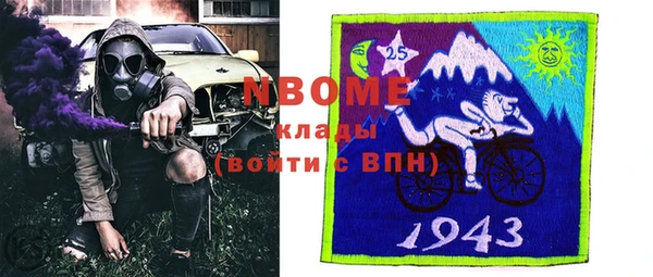 индика Алзамай