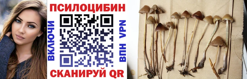 Псилоцибиновые грибы Cubensis Ардон